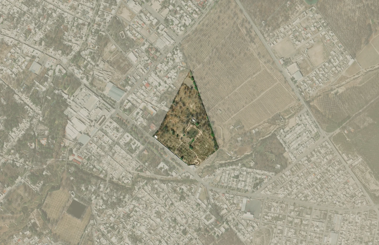 Vitivinícola P Parras Coahuila
